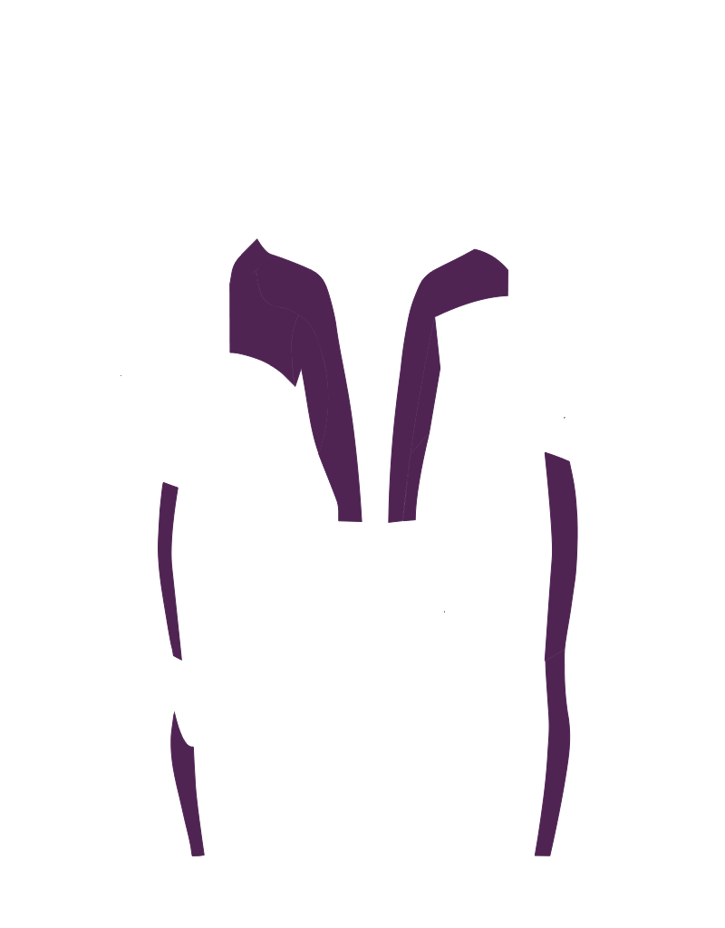 C COLOR
